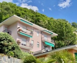 Two-room apartment in Campione with lake view (IT) | Property: 100